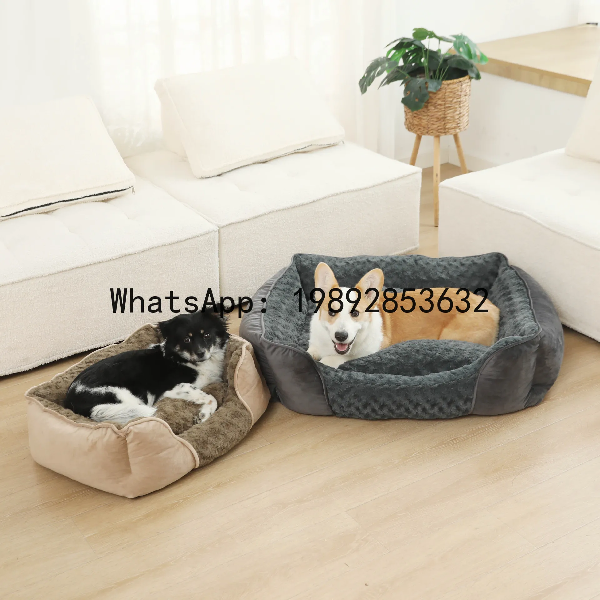 Pet X Supplies & Tack Howell Mi - X 고양이 집 반폐쇄형 개집 사계절
