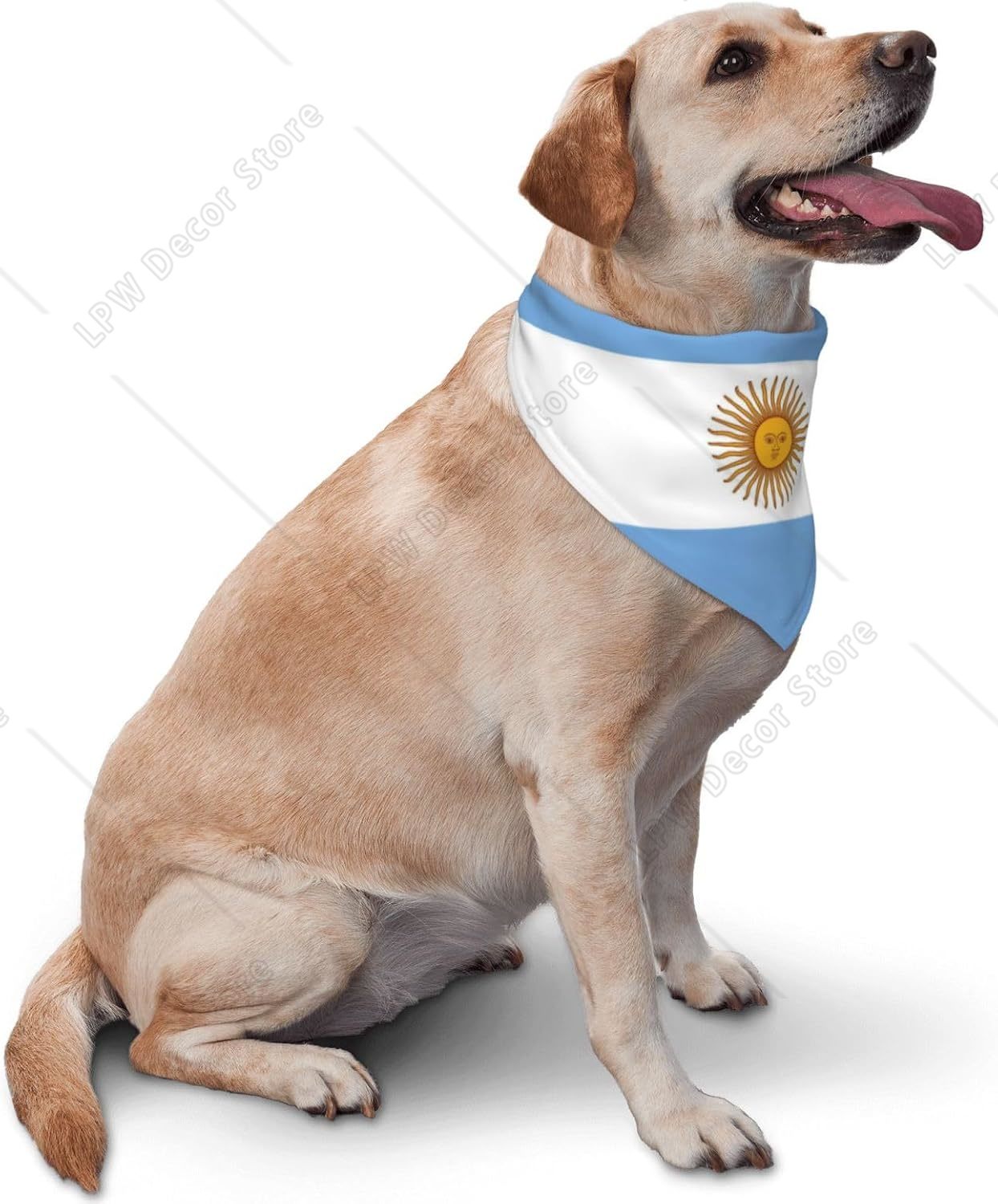 아르헨티나 국기 강아지 반다나 조절 가능한 턱받이 스카 - Dog Bandana Scarf 리뷰 및 가격