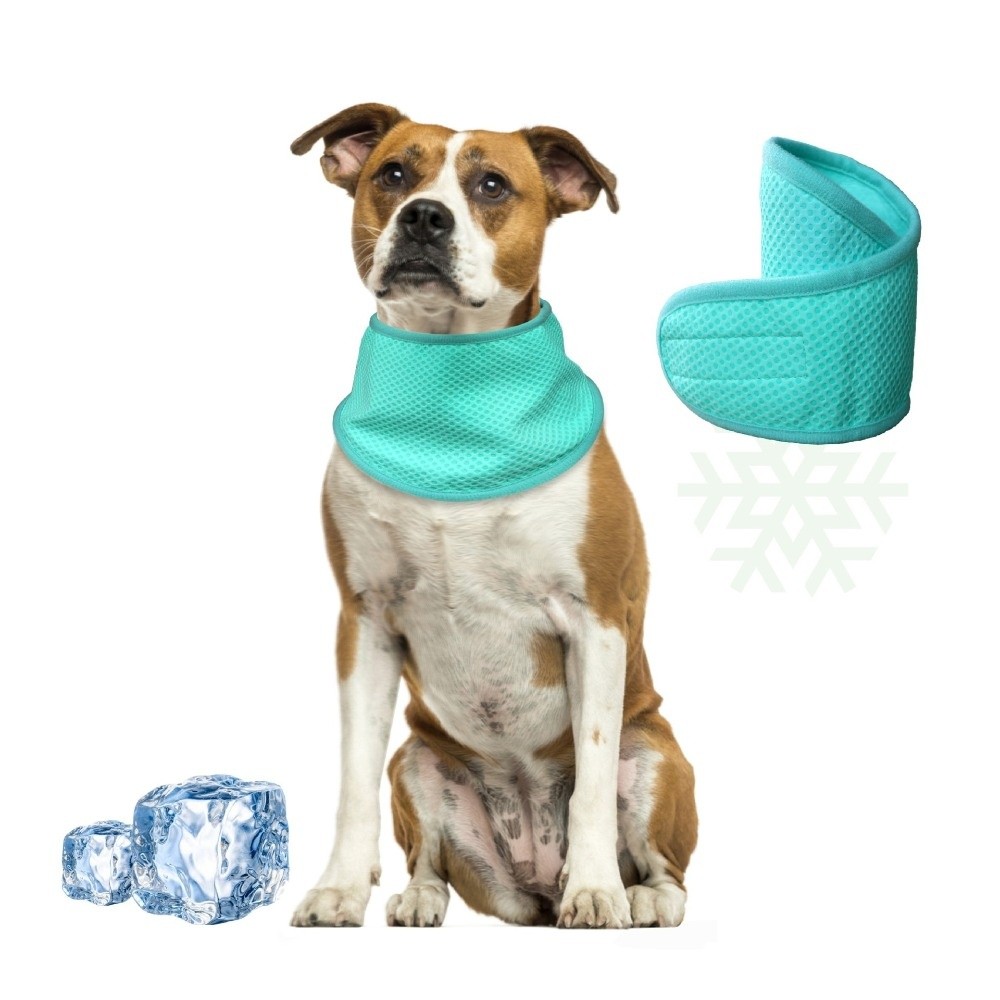 새로운 조절 가능한 강아지 쿨링 반다나 통기성 재사용  - Dog Bandana Scarf 리뷰 및 가격