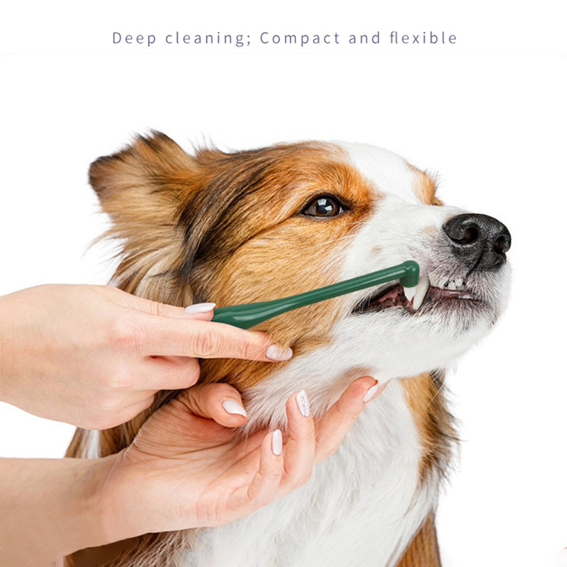마이크로 헤드 강아지 고양이 칫솔 부드러운 360도 다 - Pet Supplies Plus 리뷰 및 가격