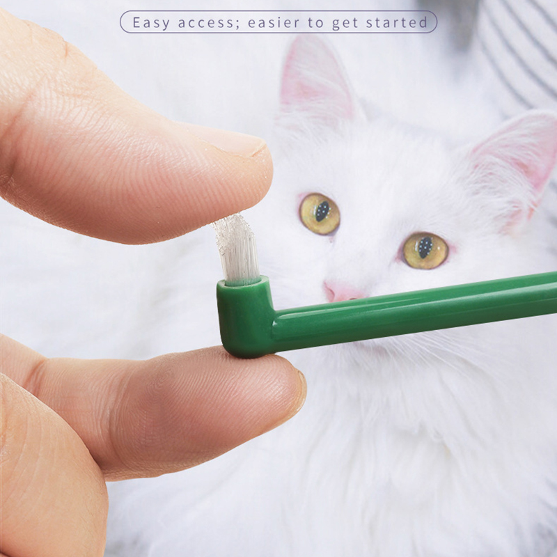 마이크로 헤드 강아지 고양이 칫솔 부드러운 360도 다 - Pet Supplies Plus 리뷰 및 가격