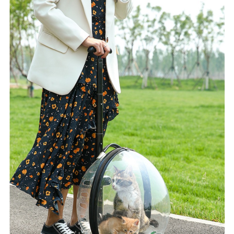 투명한 롤링 애완동물 캐리어 트롤리 케이스 고양이와 소 - Pet Stroller Carrier 리뷰 및 가격