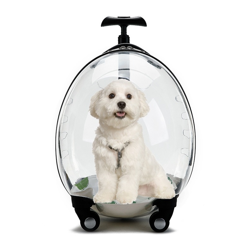 투명한 롤링 애완동물 캐리어 트롤리 케이스 고양이와 소 - Pet Stroller Carrier 리뷰 및 가격