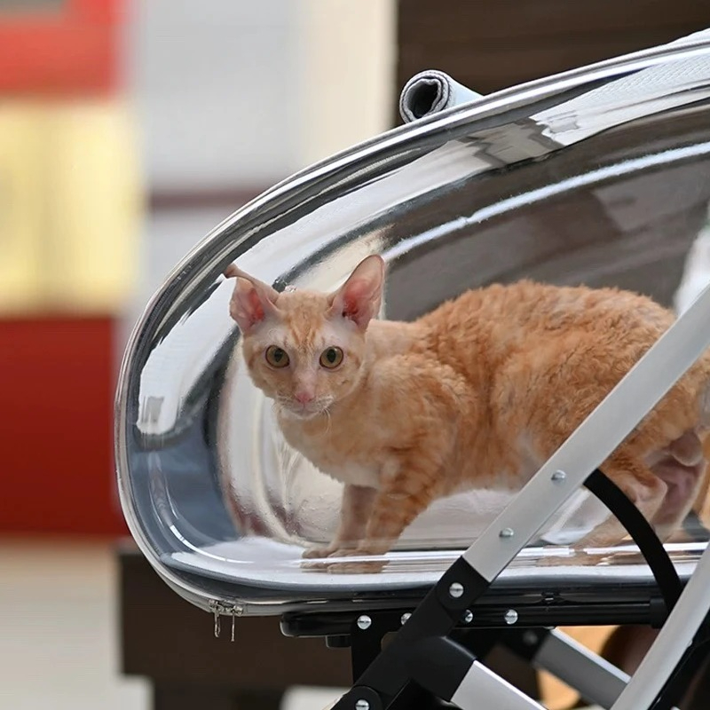 접이식 파노라마 통풍 애완동물 유모차 방풍 방수 야외  - Pet Stroller Carrier 리뷰 및 가격