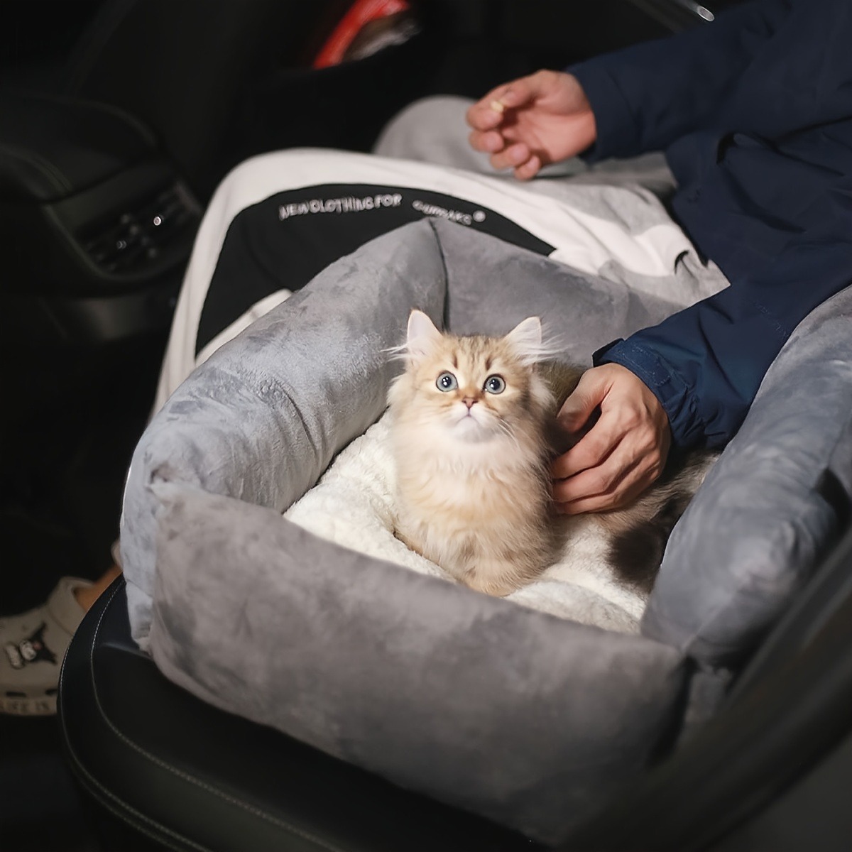 차량용 침대 강아지 소파 대형견 소형견 매트 액세서리  - Pet Supplies Plus 리뷰 및 가격