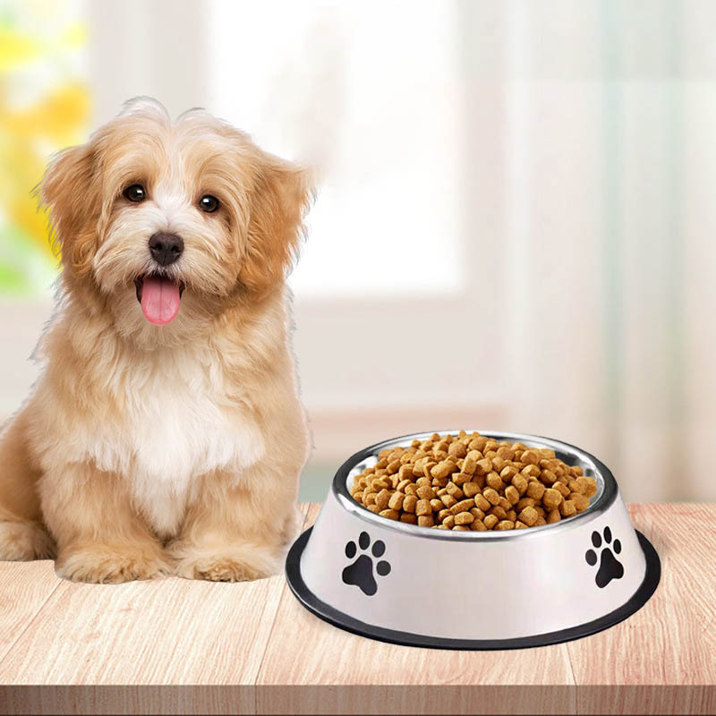 스테인레스 스틸 애완 동물 그릇 고양이 그릇 개밥 그릇 - Pet Supplies Plus 리뷰 및 가격