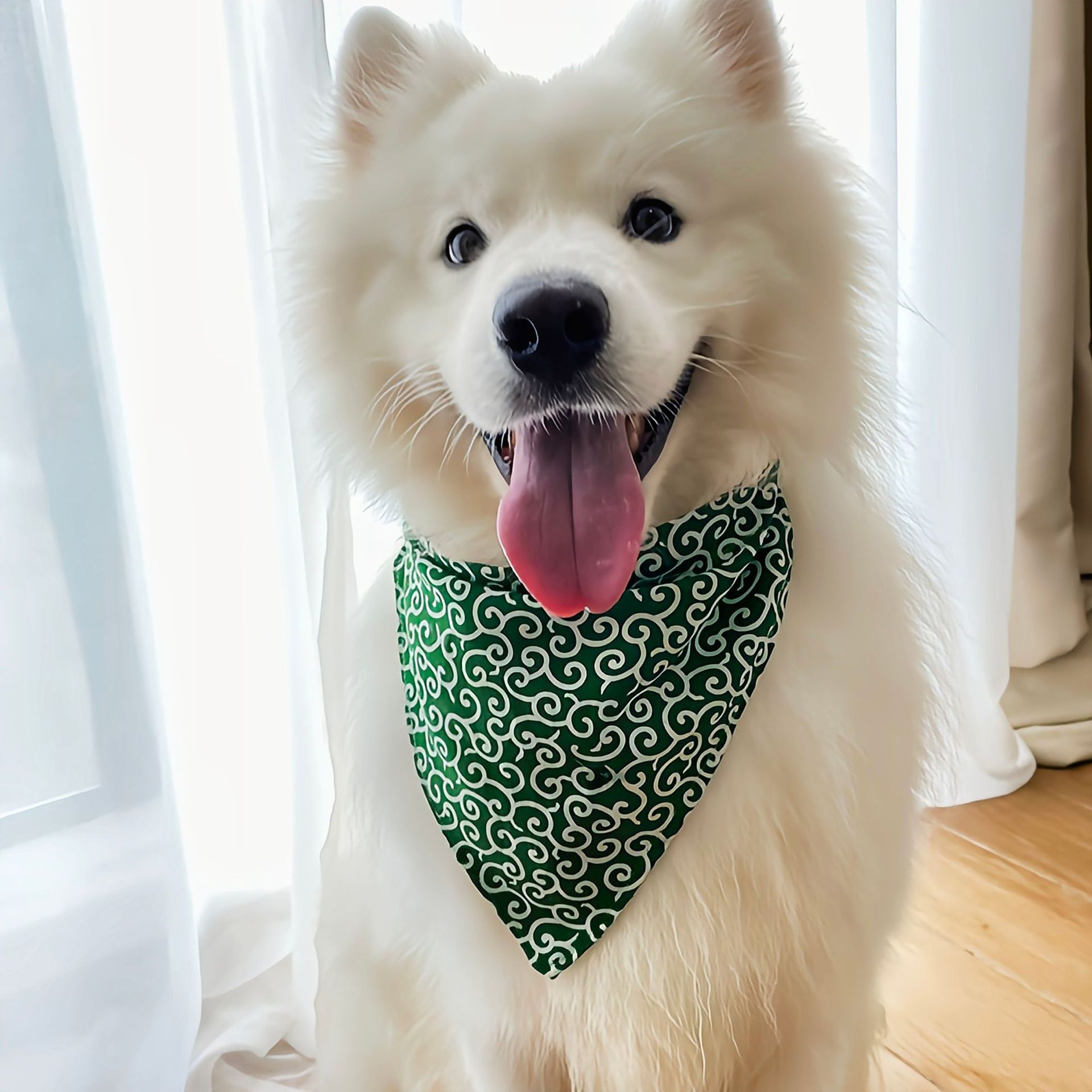 개 액세서리 새로운 애완견 개 두건 목걸이 개 목걸이  - Dog Bandana Scarf 리뷰 및 가격